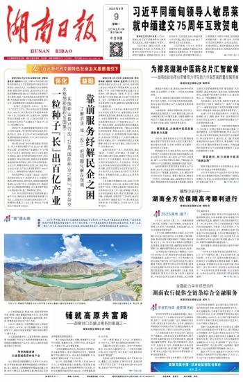 湖南日报